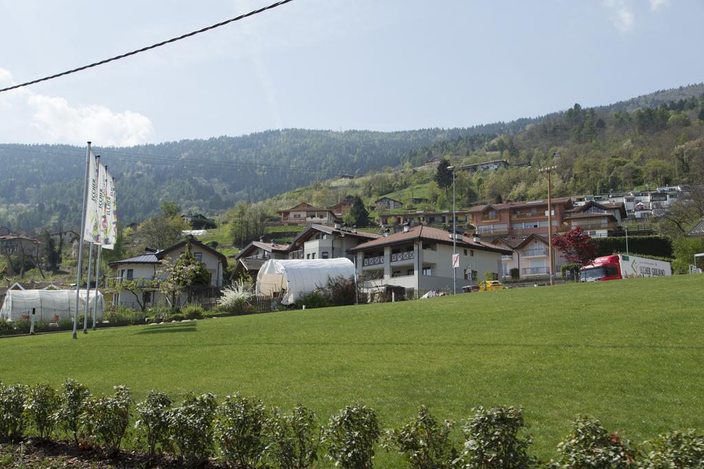 La Terrazza Sul Lago Pergine Valsugana Dış mekan fotoğraf